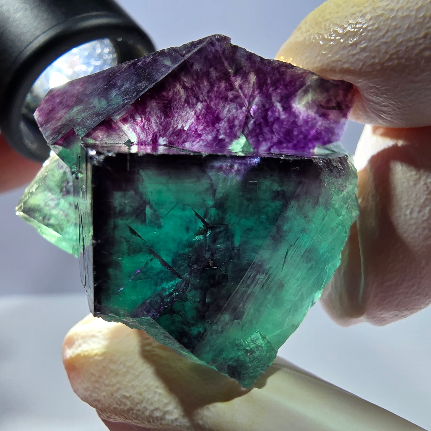 Spécimen de cube de fluorite fantôme, parqueté vert violet Okorusu, Namibie 38*34*25 mm 