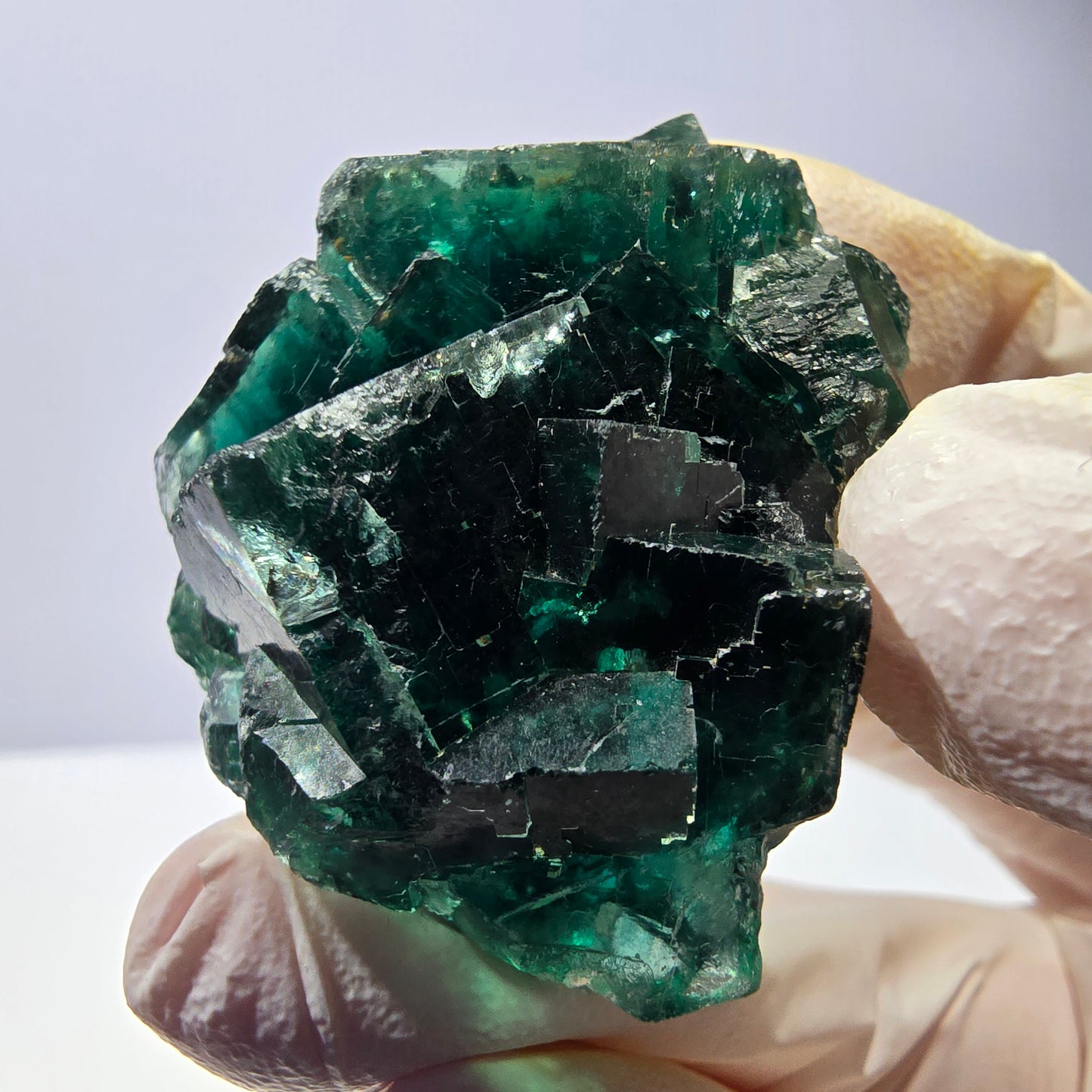 Spécimen de cube de fluorite fantôme, parqueté vert violet Okorusu, Namibie 47*36*24 mm 