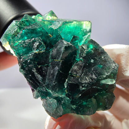 Spécimen de cube de fluorite fantôme, parqueté vert violet Okorusu, Namibie 47*36*24 mm 