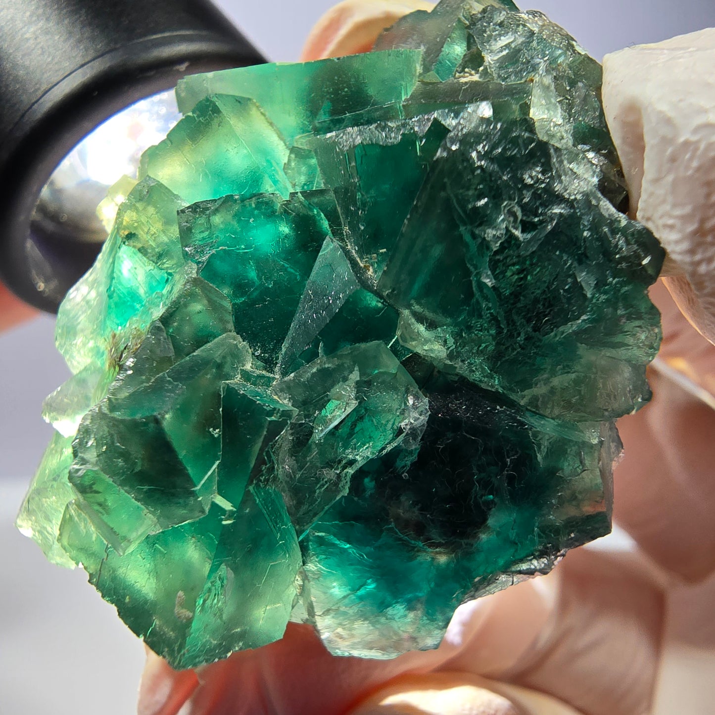 Spécimen de cube de fluorite fantôme transparente, vert Okorusu, Namibie 44 x 34 x 21 mm 