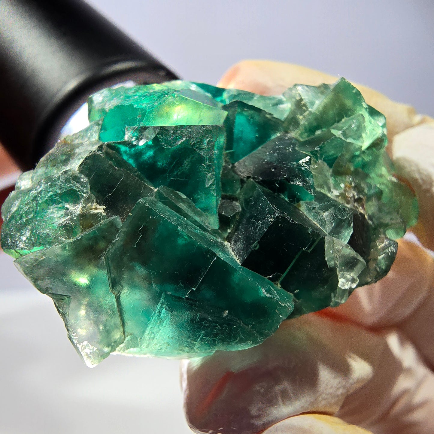 Spécimen de cube de fluorite fantôme transparente, vert Okorusu, Namibie 44 x 34 x 21 mm 