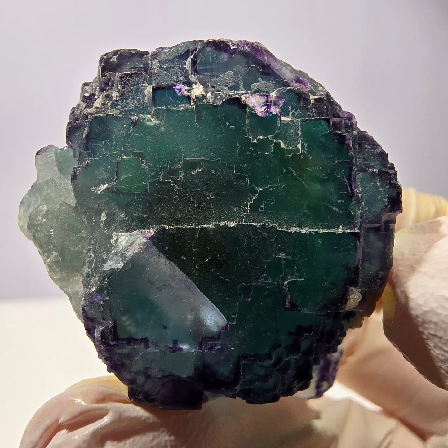 Spécimen de cube de fluorite fantôme, parqueté, zonal Okorusu, Namibie 44*41*25 mm 