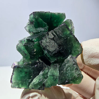 Spécimen de cube de fluorite fantôme, parqueté, zonal Okorusu, Namibie 51*38*29mm 
