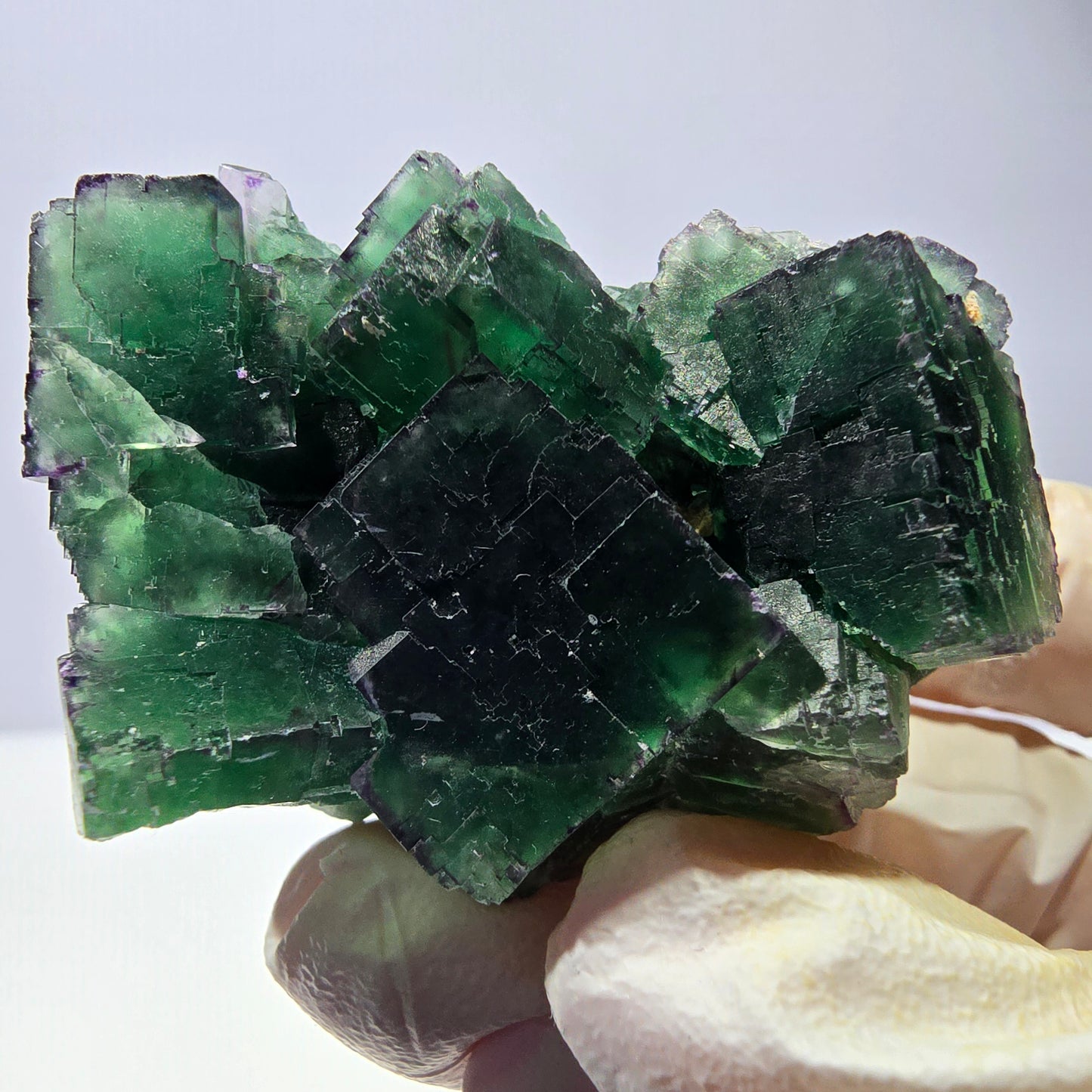 Spécimen de cube de fluorite fantôme, parqueté, zonal Okorusu, Namibie 51*38*29mm 