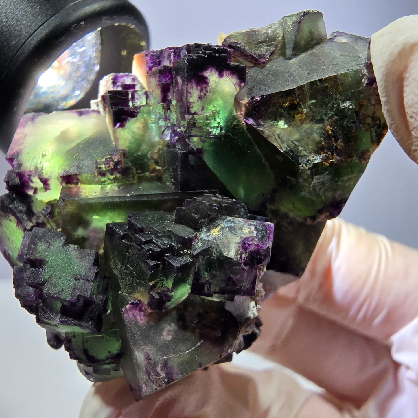 Spécimen de cube de fluorite fantôme, parqueté, zonal Okorusu, Namibie 54 x 39 x 38 mm 