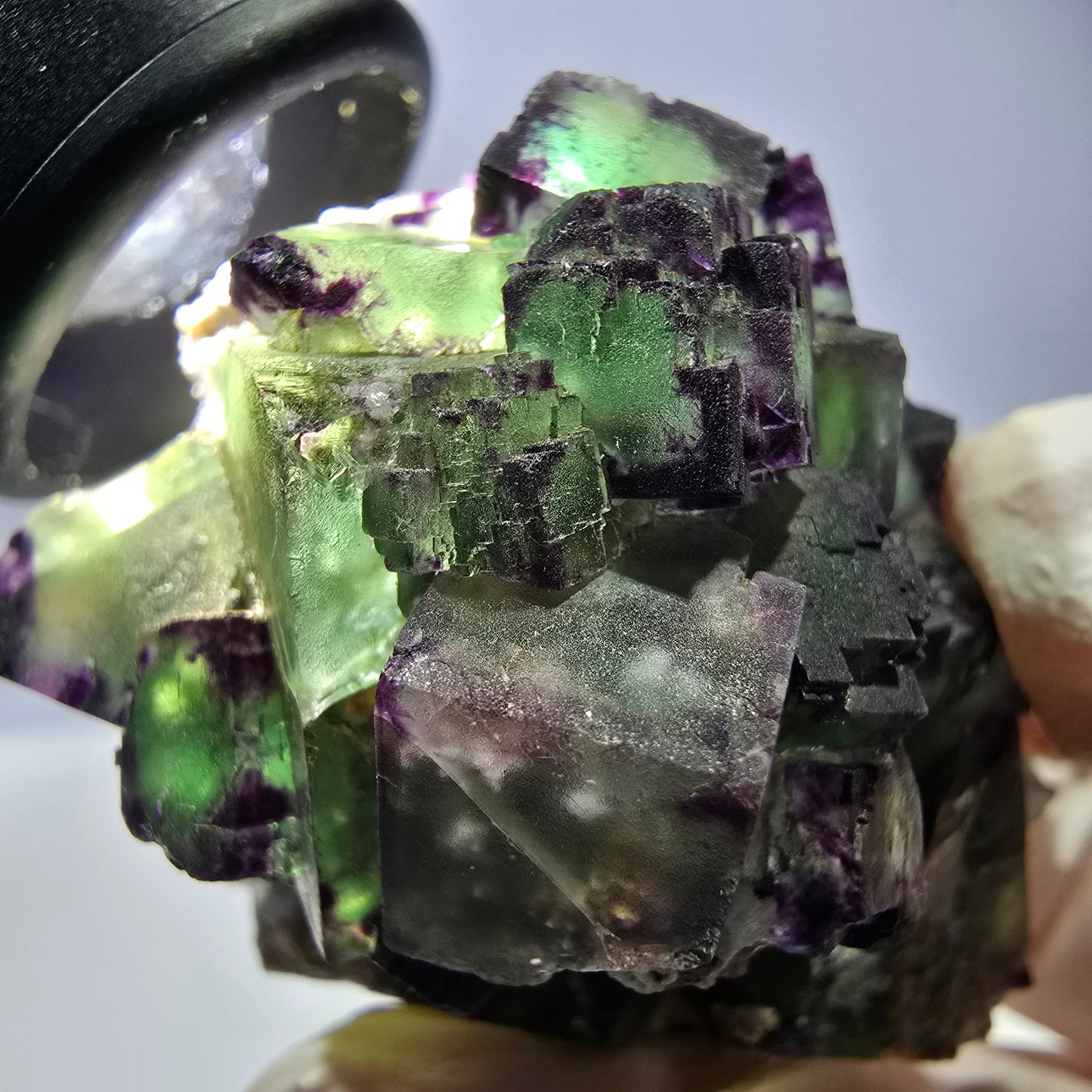 Spécimen de cube de fluorite fantôme, parqueté, zonal Okorusu, Namibie 54 x 39 x 38 mm 