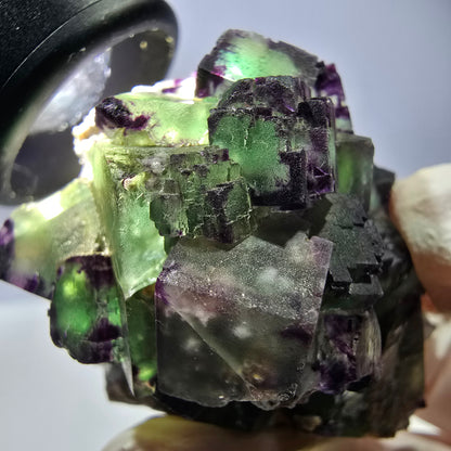 Spécimen de cube de fluorite fantôme, parqueté, zonal Okorusu, Namibie 54 x 39 x 38 mm 