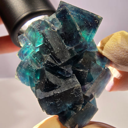 Rare spécimen de cube de fluorite fantôme, poche papillon, Okorusu, Namibie, 51 x 39 x 24 mm