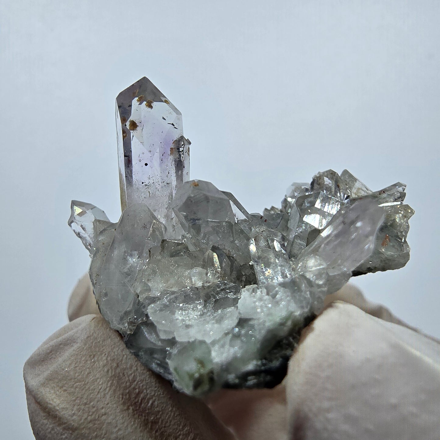 Quartz Harlequin rare, spécimen de chlorite, mine Streep, Goboboseb, Namibie, 46 x 32 x 28 mm 