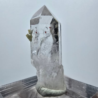 Quartz Harlequin avec préhnite Point Streep Mine, Goboboseb, Namibie 32 x 14 x 11 mm 