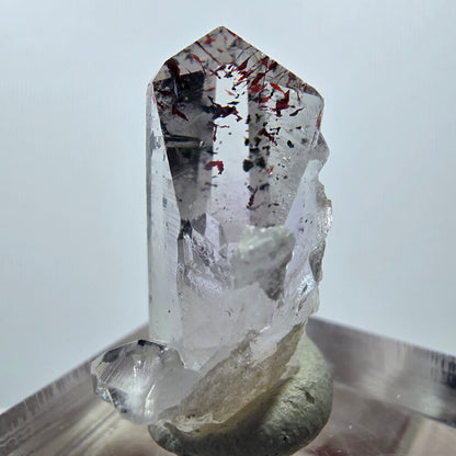 Quartz clair Harlequin Mine Point Streep, Goboboseb, Namibie 26 x 19 x 11 mm 