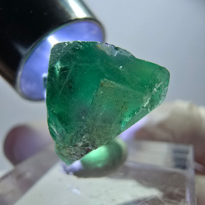 Spécimen rare de cube de fluorite, vert violet, Okorusu, Namibie, 25 x 16 x 14 mm 