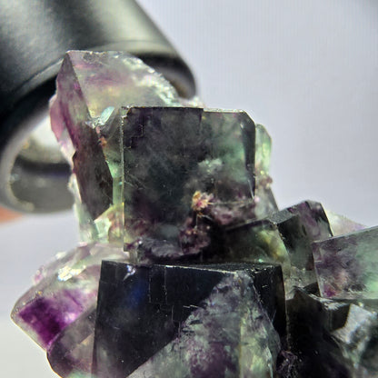 Spécimen rare de cube de fluorite, vert violet, Okorusu, Namibie, 35 x 24 x 19 mm 