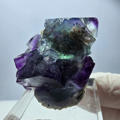 Spécimen rare de cube de fluorite, vert violet, Okorusu, Namibie, 35 x 27 x 20 mm 
