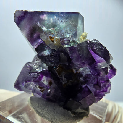 Spécimen rare de cube de fluorite, vert violet, Okorusu, Namibie, 35 x 27 x 20 mm 