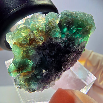 Rare spécimen de cube de fluorite, vert violet, Okorusu, Namibie, 34 x 23 x 19 mm 