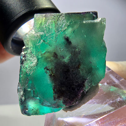 Spécimen rare de cube de fluorite, vert violet, Okorusu, Namibie, 31 x 28 x 27 mm 