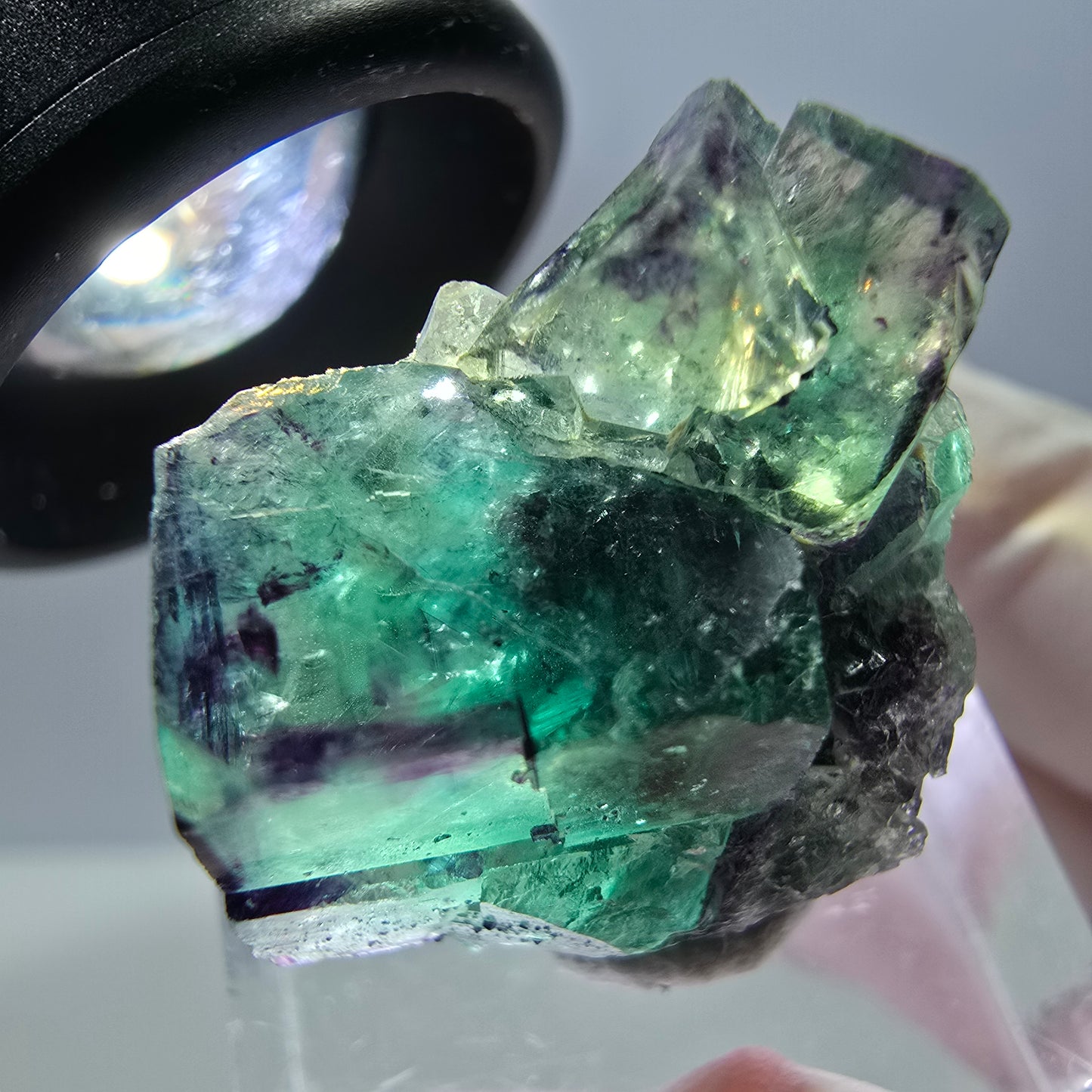Seltene Fluorit Würfel Stufe, grün lila Okorusu, Namibia 25*23*12mm