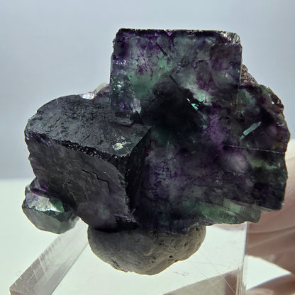 Seltene Fluorit Würfel Stufe, grün lila Okorusu, Namibia 42*30*16mm