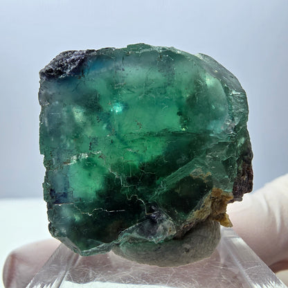 Seltene Fluorit Würfel Stufe, grün lila Okorusu, Namibia 32*28*19mm