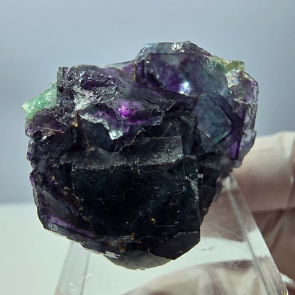 Seltene Fluorit Würfel Stufe, grün lila Okorusu, Namibia 31*27*19mm