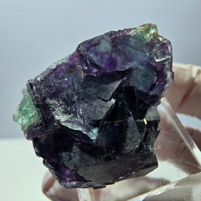 Seltene Fluorit Würfel Stufe, grün lila Okorusu, Namibia 31*27*19mm