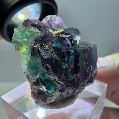 Seltene Fluorit Würfel Stufe, grün lila Okorusu, Namibia 31*27*19mm