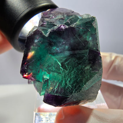 Seltene Fluorit Würfel Stufe, grün lila Okorusu, Namibia 41*32*26mm