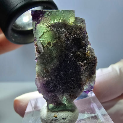 Phantom Fluorit Würfel Stufe, parkettiert, zonal Okorusu, Namibia 38*21*15mm
