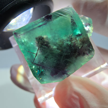 Phantom Fluorit Würfel Stufe, grün lila Okorusu, Namibia 21*18*14mm