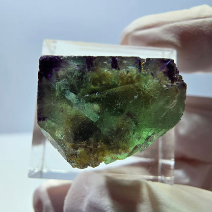 Phantom Fluorit Würfel Stufe, parkettiert, zonal Okorusu, Namibia 19*17*14mm