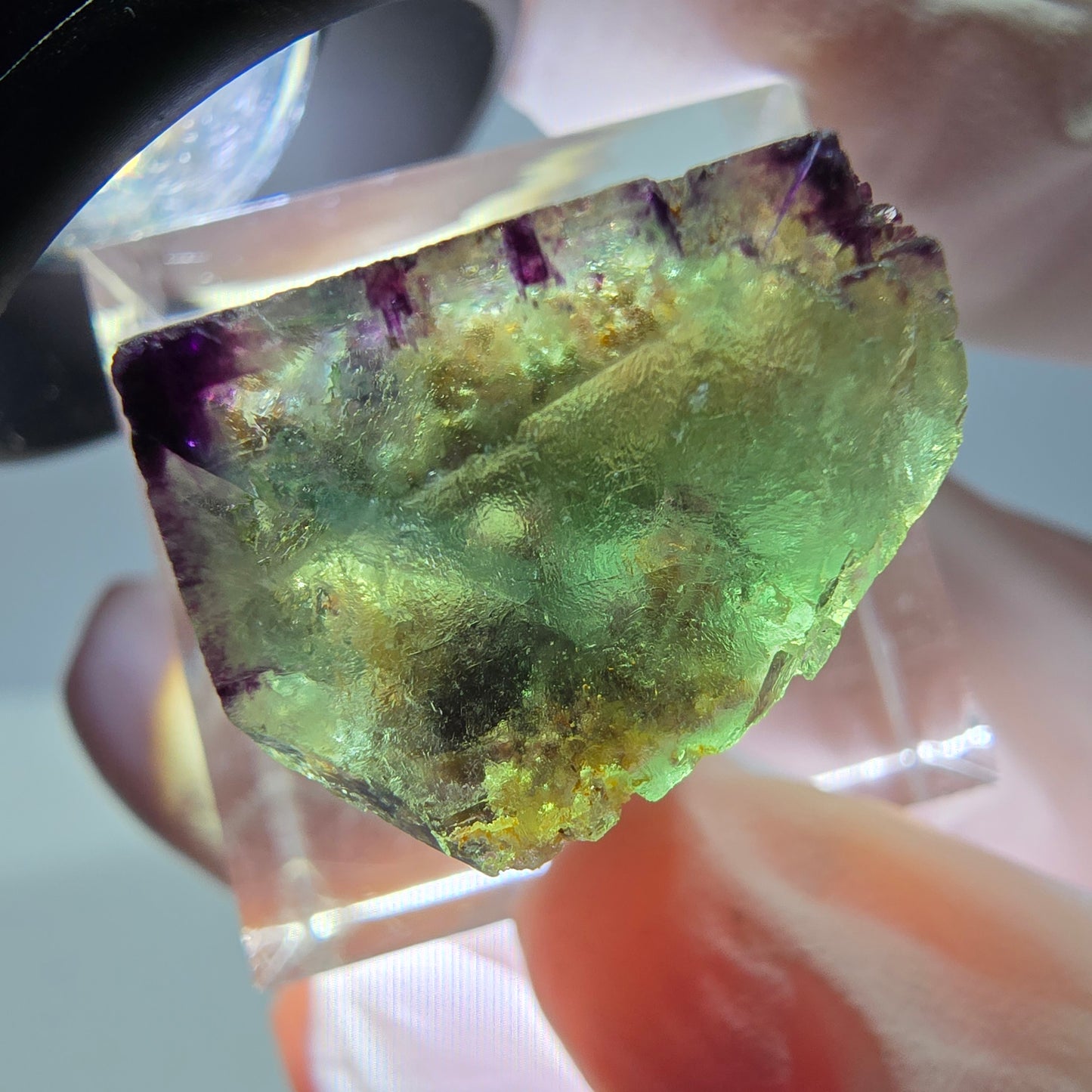 Phantom Fluorit Würfel Stufe, parkettiert, zonal Okorusu, Namibia 19*17*14mm