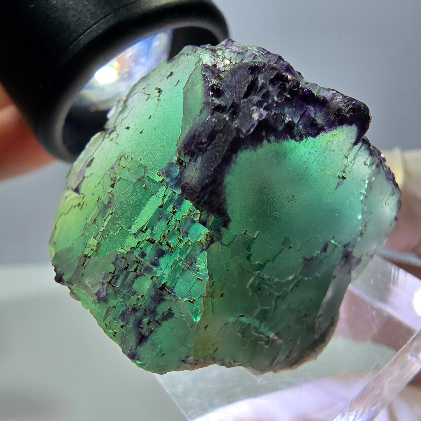 Phantom Fluorit Würfel Stufe, parkettiert, zonal Okorusu, Namibia 28*27*23mm