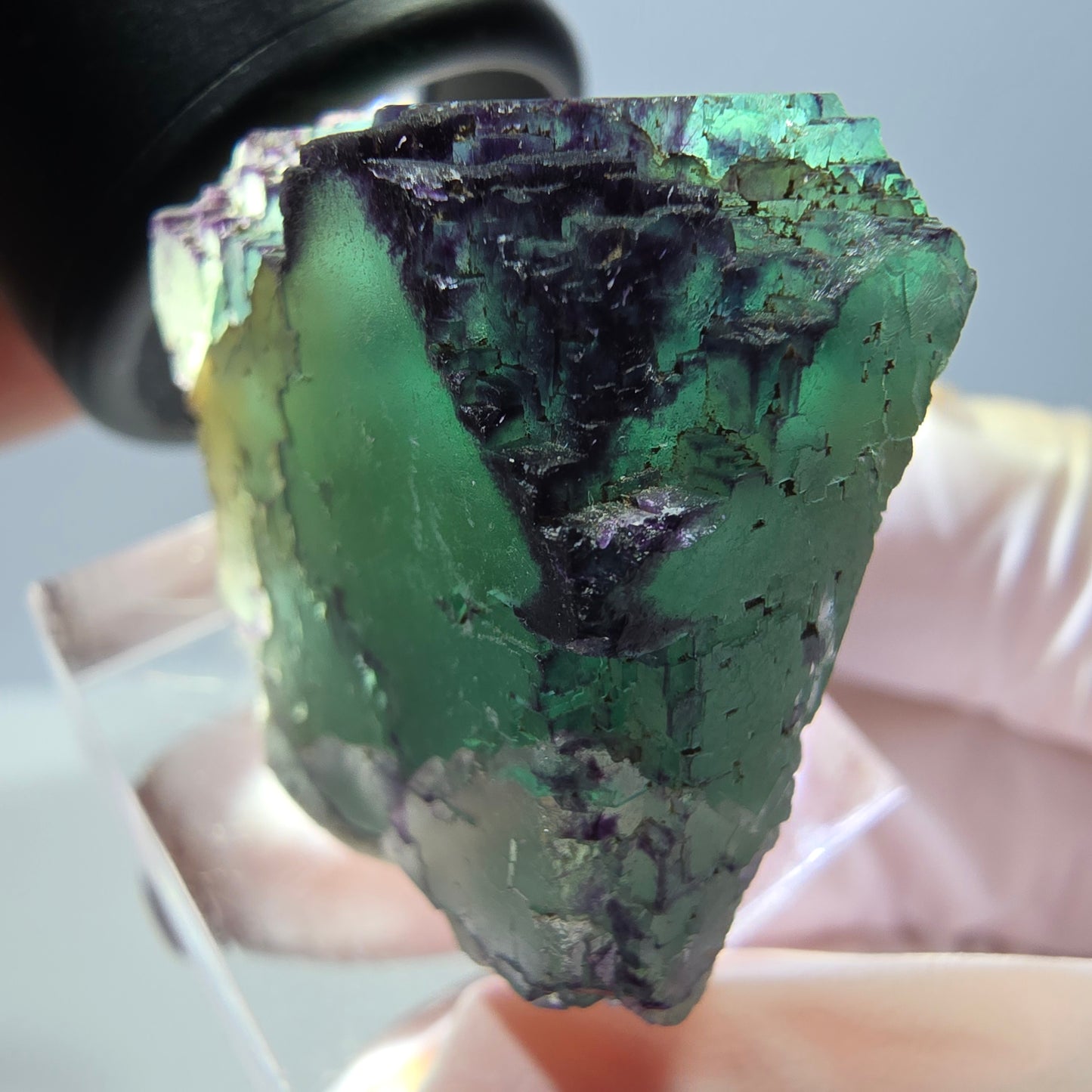 Phantom Fluorit Würfel Stufe, parkettiert, zonal Okorusu, Namibia 28*27*23mm