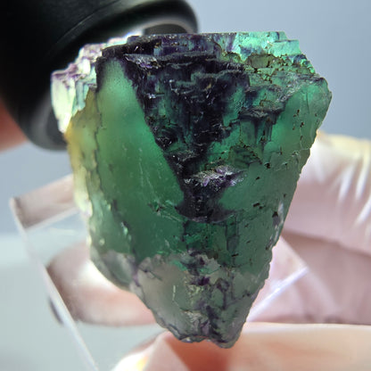 Phantom Fluorit Würfel Stufe, parkettiert, zonal Okorusu, Namibia 28*27*23mm