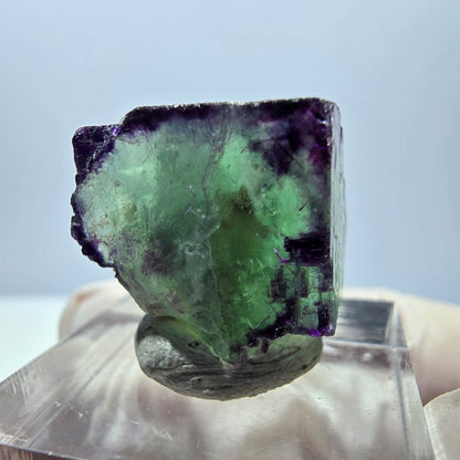 Phantom Fluorit Würfel Stufe, parkettiert, zonal Okorusu, Namibia 18*18*18mm