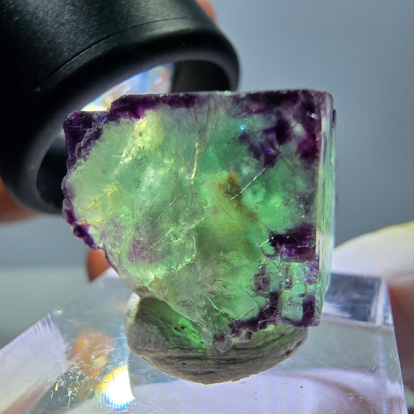 Phantom Fluorit Würfel Stufe, parkettiert, zonal Okorusu, Namibia 18*18*18mm