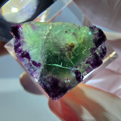 Phantom Fluorit Würfel Stufe, parkettiert, zonal Okorusu, Namibia 18*18*18mm