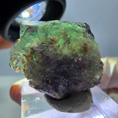 Phantom Fluorit Würfel Stufe, parkettiert, zonal Okorusu, Namibia 27*24*14mm