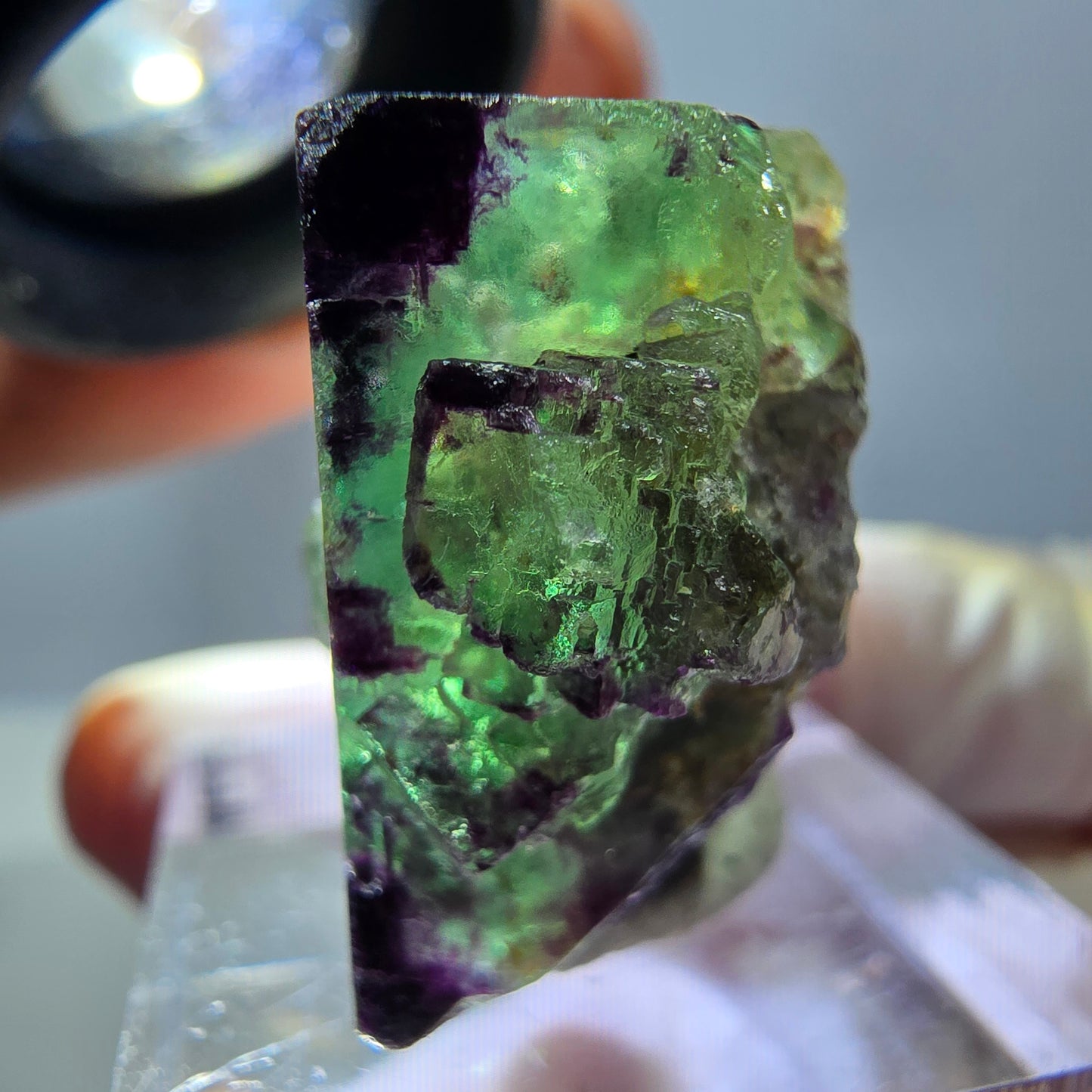 Phantom Fluorit Würfel Stufe, parkettiert, zonal Okorusu, Namibia 27*24*14mm