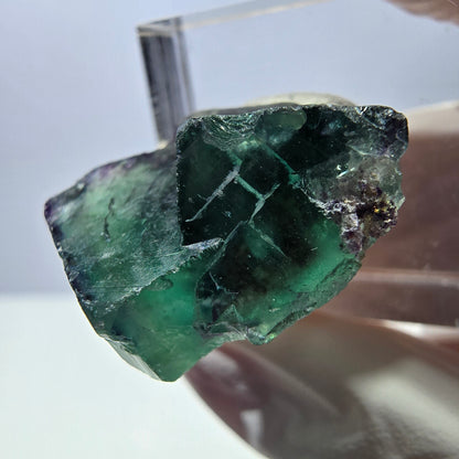Phantom Fluorit Würfel Stufe, parkettiert grün lila Okorusu, Namibia 24*22*14mm