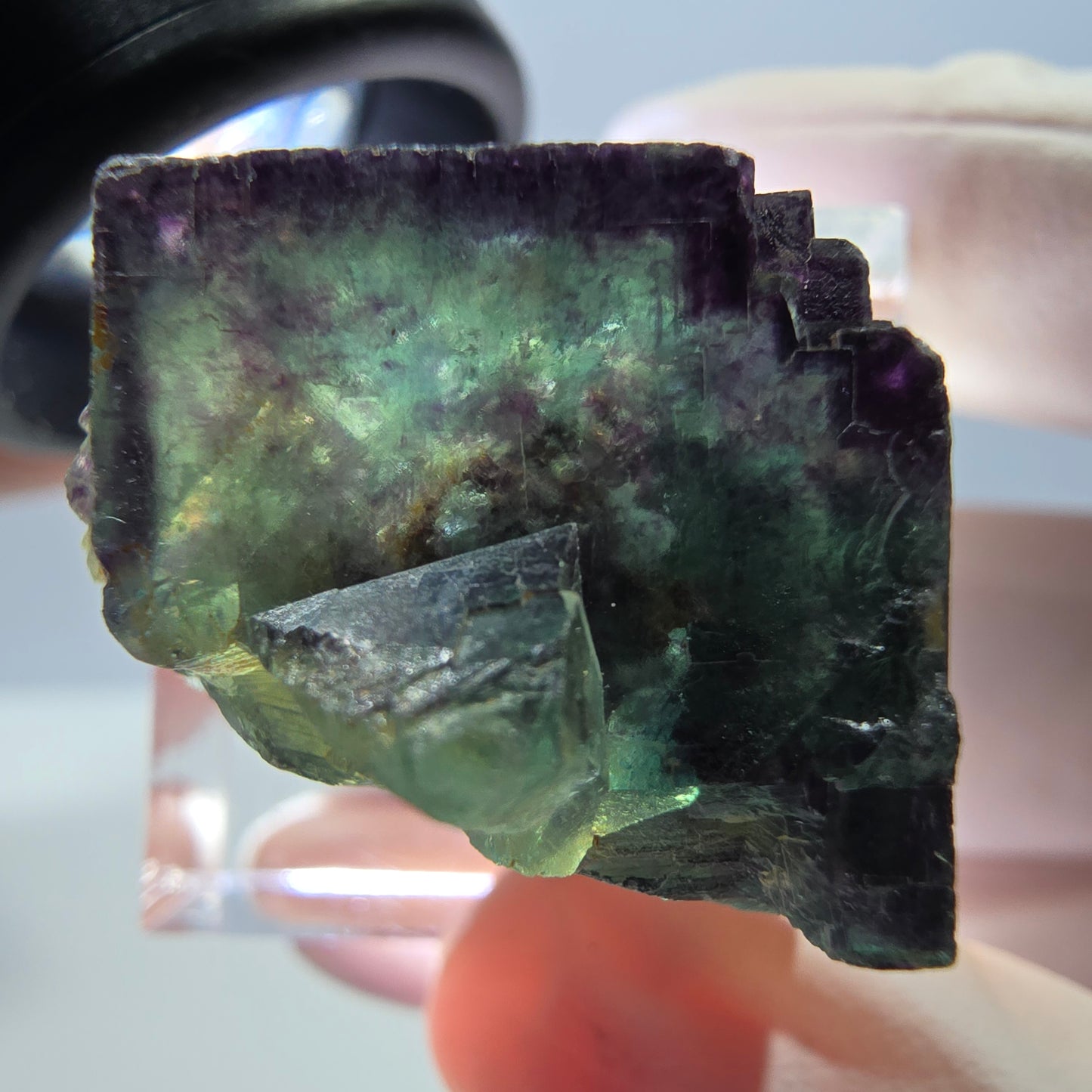 Phantom Fluorit Würfel Stufe, parkettiert, zonal Okorusu, Namibia 23*22*20mm