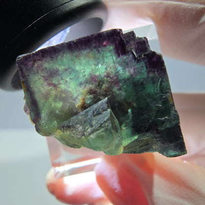 Phantom Fluorit Würfel Stufe, parkettiert, zonal Okorusu, Namibia 23*22*20mm