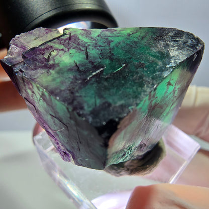 Phantom Fluorit Würfel Stufe, parkettiert grün lila Okorusu, Namibia 29*27*25mm