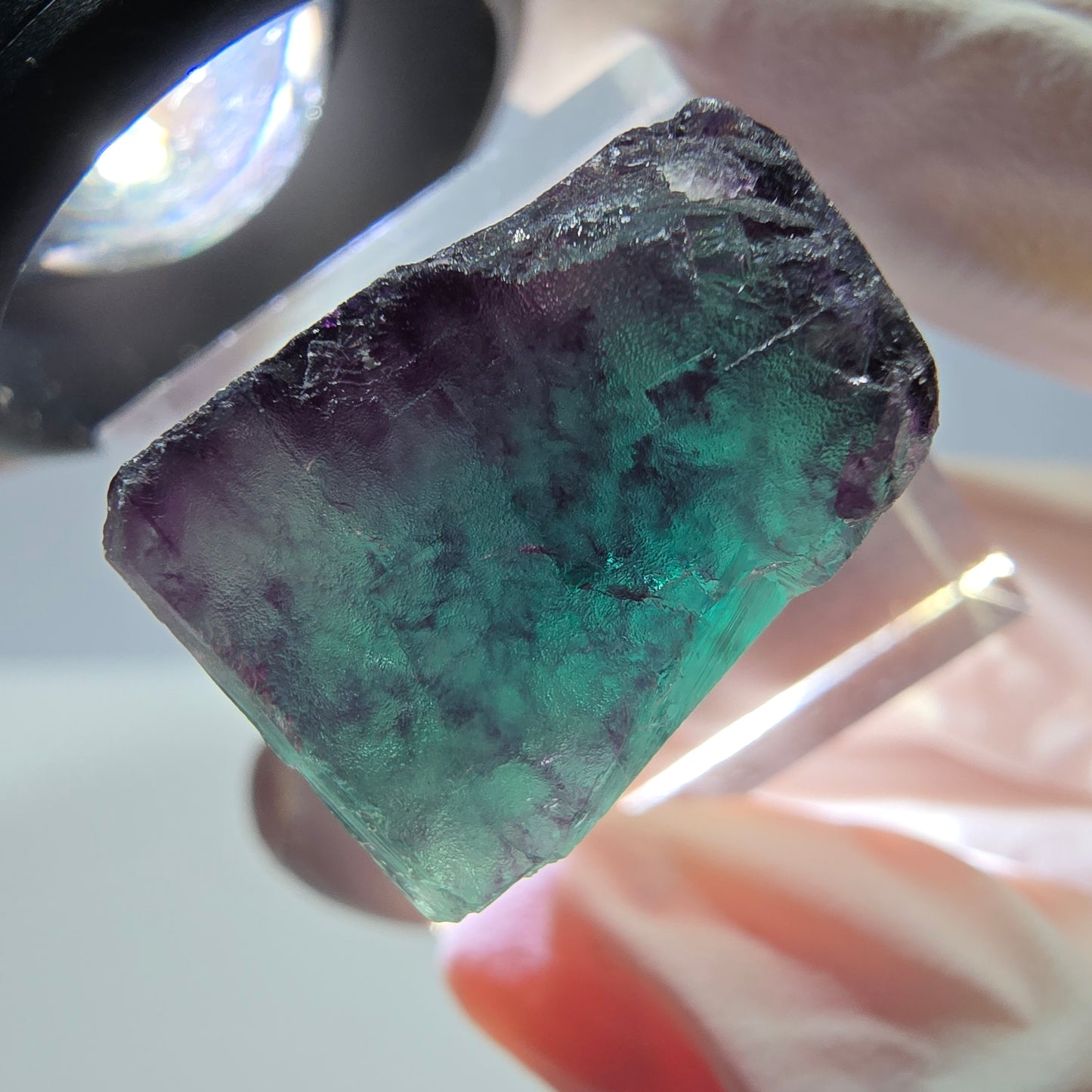 Phantom Fluorit Würfel Stufe, parkettiert grün lila Okorusu, Namibia 21*19*14mm
