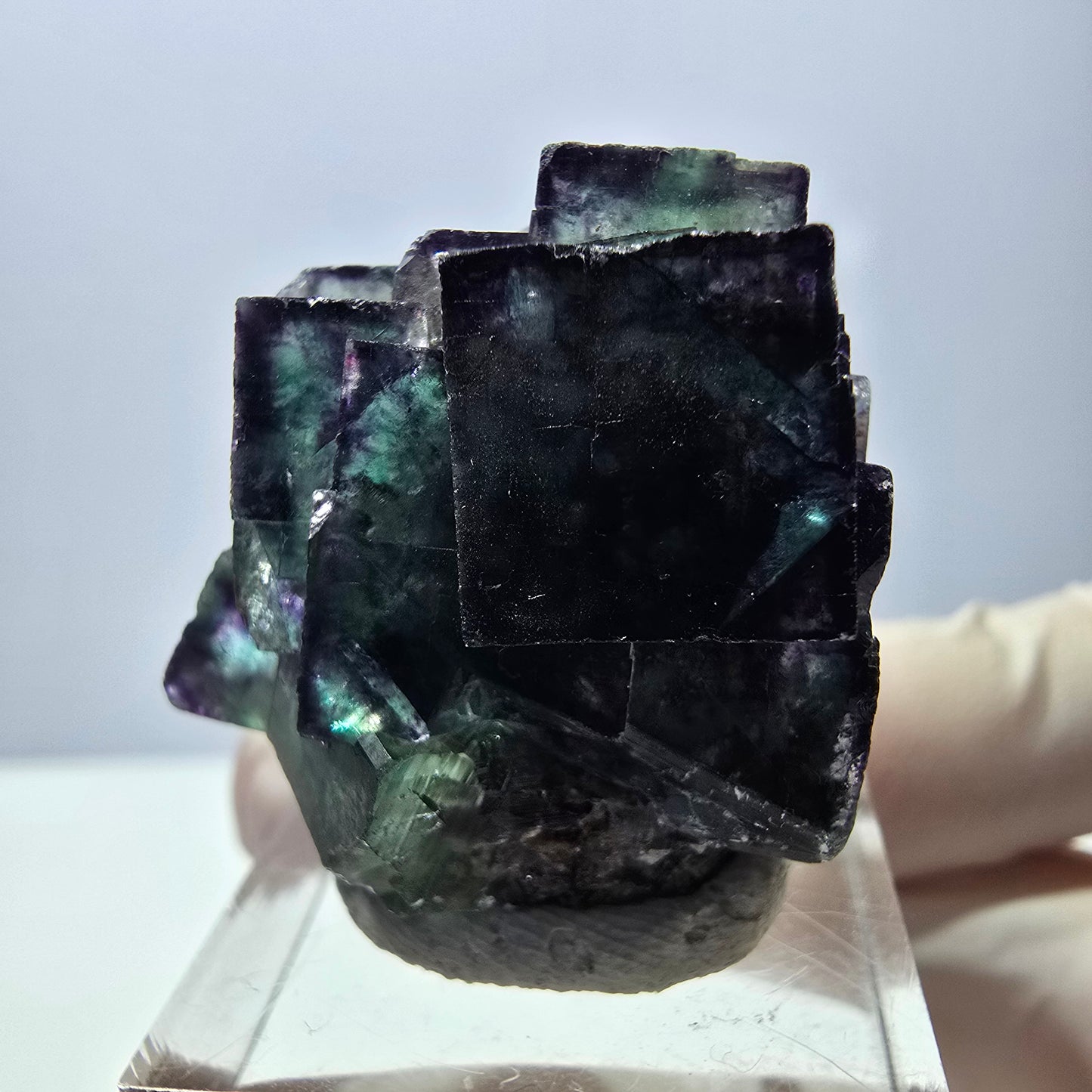 Phantom Fluorit Würfel Stufe, parkettiert grün lila Okorusu, Namibia 29*28*16mm