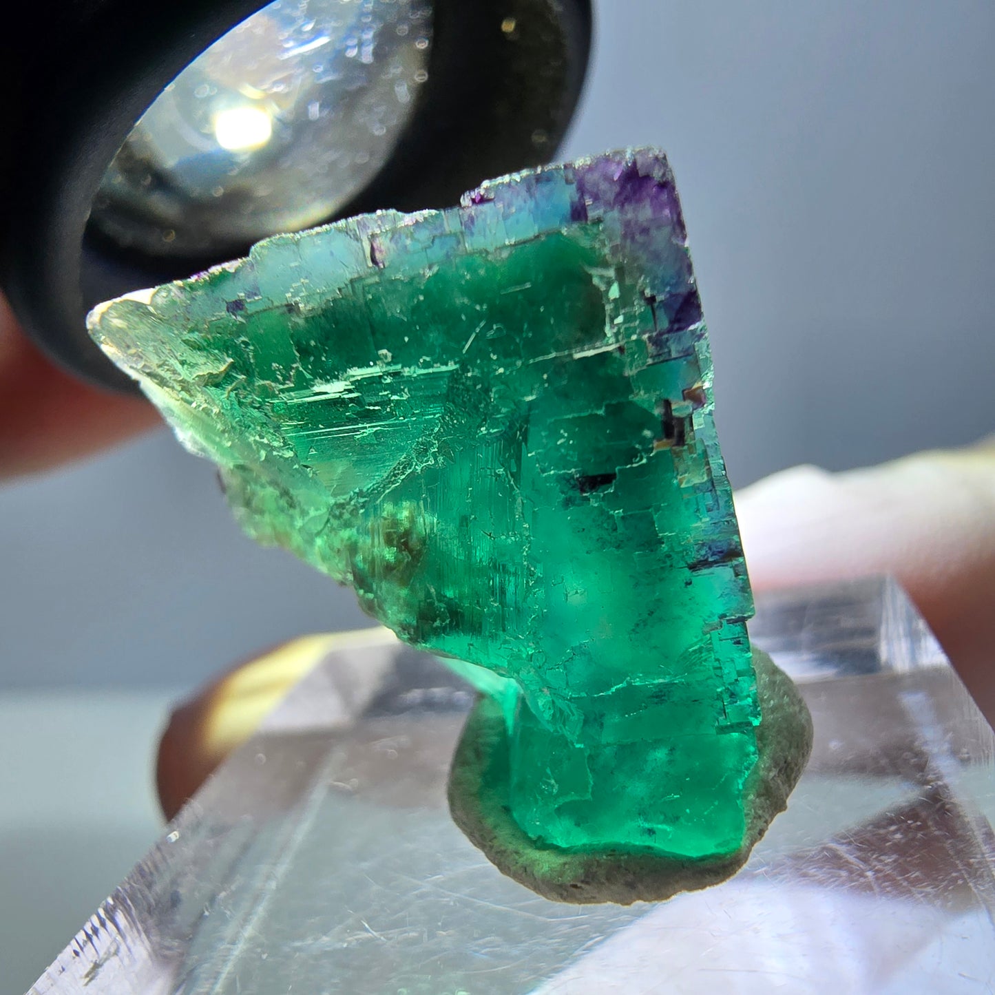 Phantom Fluorit Würfel Stufe, parkettiert grün lila Okorusu, Namibia 20*19*18mm