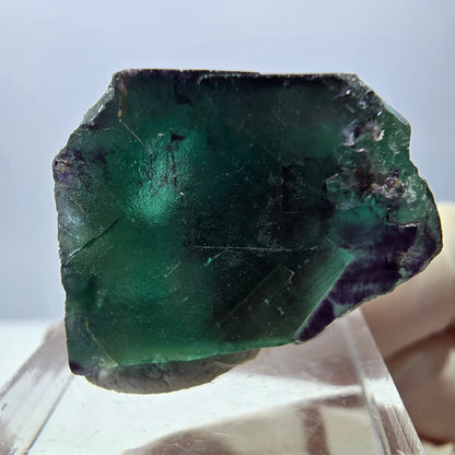 Phantom Fluorit Würfel Stufe, parkettiert grün lila Okorusu, Namibia 25*25*21mm