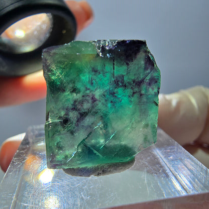 Phantom Fluorit Würfel Stufe, parkettiert grün lila Okorusu, Namibia 18*16*15mm