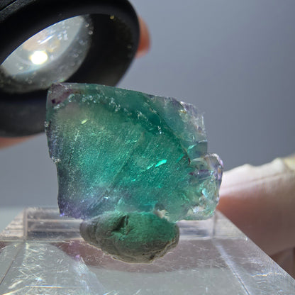 Phantom Fluorit Würfel Stufe, parkettiert grün lila Okorusu, Namibia 18*15*13mm